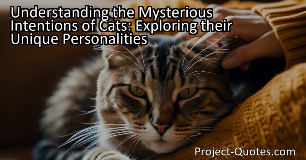 Understanding the Mysterious Intentions of Cats: Exploring their Unique Personalities