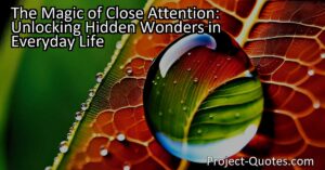 Giving close attention allows us to unlock hidden wonders in everyday life. By immersing ourselves fully in the present moment