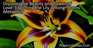 Discover the Beauty and Power of Love: Exploring the Lily Among Thorns Metaphor