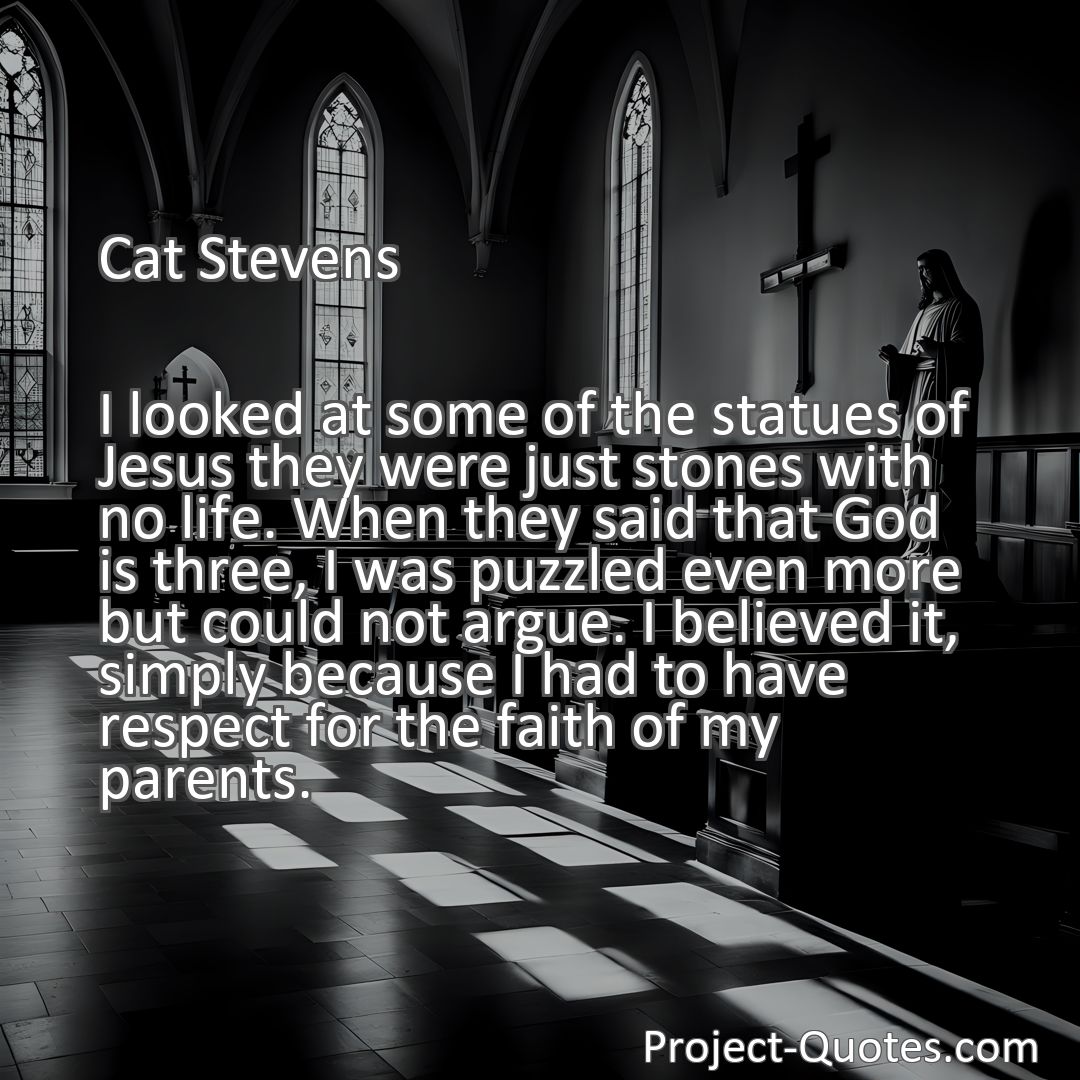 Freely Shareable Quote Image I looked at some of the statues of Jesus they were just stones with no life. When they said that God is three, I was puzzled even more but could not argue. I believed it, simply because I had to have respect for the faith of my parents.