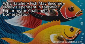 Why Hatchery Fish May Become Overly Dependent in the Wild: Exploring the Challenges of Domestication