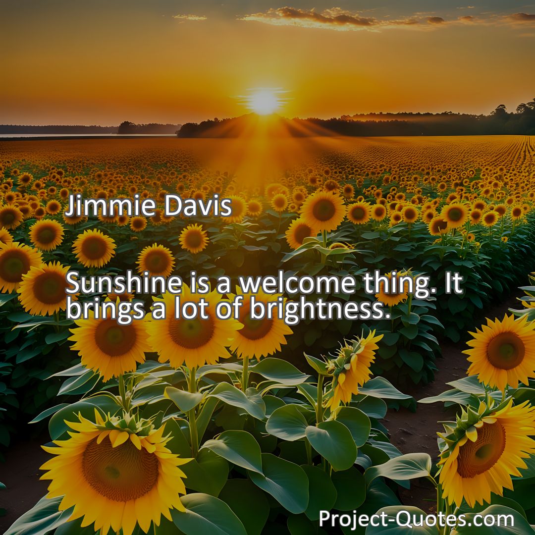 Freely Shareable Quote Image Sunshine is a welcome thing. It brings a lot of brightness.