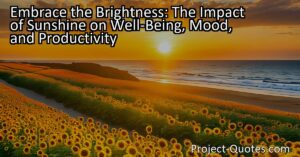 Embrace the Brightness: The Impact of Sunshine on Well-Being