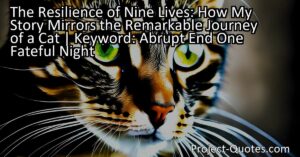In the captivating story of "The Resilience of Nine Lives: How My Story Mirrors the Remarkable Journey of a Cat