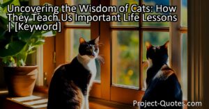 Uncovering the Wisdom of Cats: How They Teach Us Important Life Lessons will take readers on a captivating journey to explore the profound ways in which cats bring happiness into our lives. From their calming presence and mindfulness teachings to their ability to heal emotional wounds
