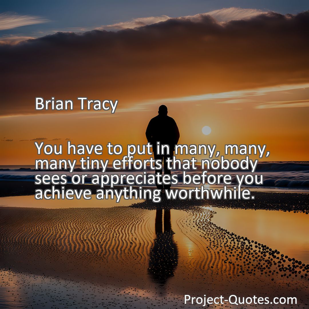 Freely Shareable Quote Image You have to put in many, many, many tiny efforts that nobody sees or appreciates before you achieve anything worthwhile.